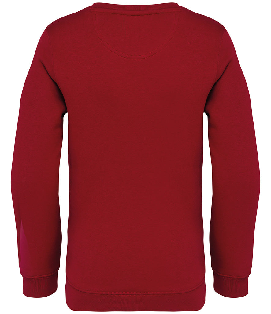 Native Spirit Kids Crew Neck Sweatshirt